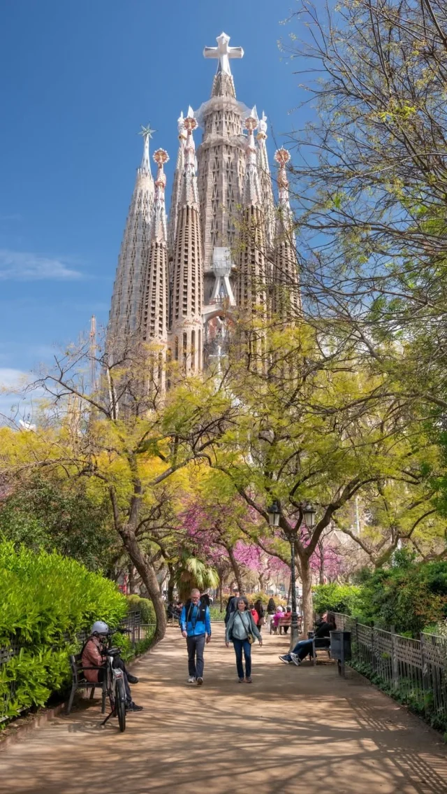 Красивый отдых с экономией 50% 🔥

Подробнее по ссылке в профиле @paspartu_official ✈️