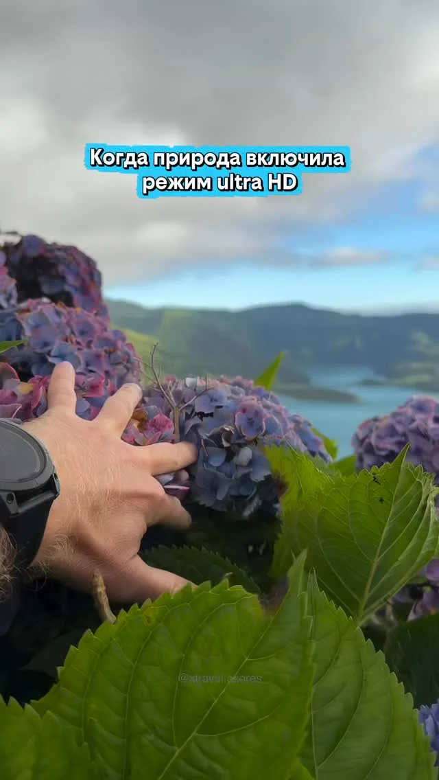 📍 Азорские острова 🇵🇹

Одна из самых узнаваемых вещей на Азорах — гортензии.

Летом здесь тысячи цветущих кустов:
вдоль дорог, на склонах холмов и вокруг смотровых площадок. 😍

И иногда всё это выглядит слишком нереально, 
будто пейзаж просто сгенерировали. 😄

💡 Лучшее время для поездки:
с конца июня до августа.

—

Такие места кажутся «слишком дорогими», 
пока не перестаёшь переплачивать за отели.

👉 –30–60% на бронировании 
ссылка в профиле @paspartu_official
