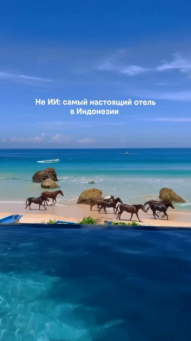 Здесь лошади приходят на пляж прямо к гостям отеля. 🐎🌊

Представьте: вы просыпаетесь с видом на океан, выходите на пляж — а по берегу совершенно спокойно проходят сумбийские лошади.

Это NIHI Sumba — один из самых необычных курортов Индонезии, спрятанный на острове Сумба.

Здесь природа — не декорация, а часть самого отдыха. Джунгли, бескрайний океан, лошади на пляже и ощущение, будто вы попали в совершенно другой мир. 🌴

📍 Сумба, Индонезия

Хотели бы остановиться в NIHI Sumba? 👇

Если да — забронируйте этот отель через Paspartu Travel дешевле.

📩 Напишите нам по ссылке в шапке — проверим, какую цену сможем вам предложить.